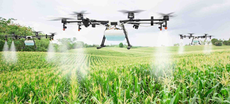 service details thumbnail